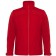 color:red